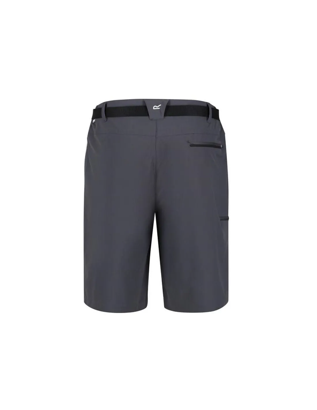 Pantalones de Montaña Regatta Xert StrShort III Hombre