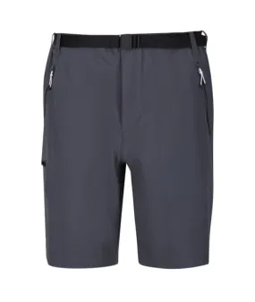 Pantalones de Montaña Regatta Xert StrShort III Hombre