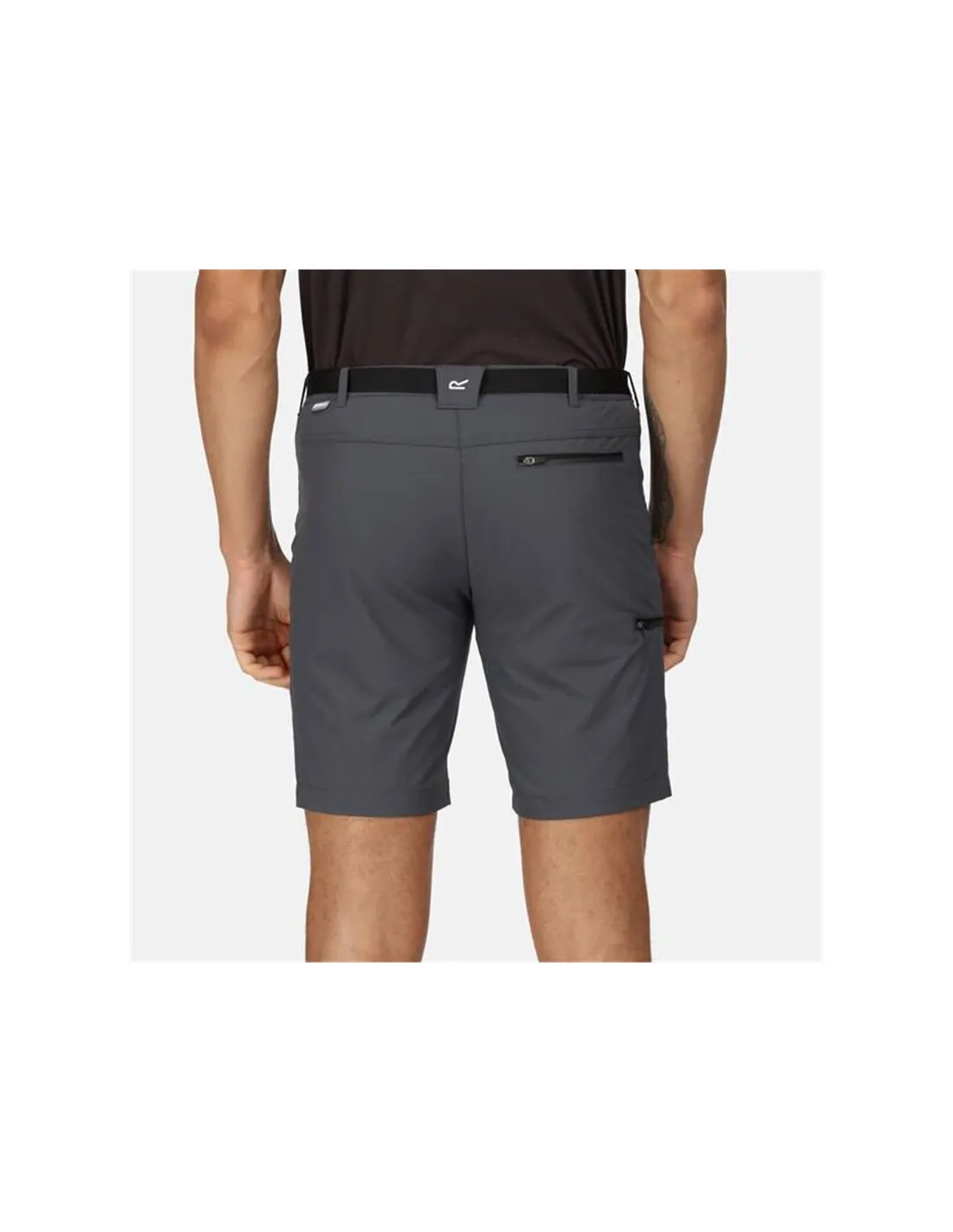 Pantalones de Montaña Regatta Xert StrShort III Hombre