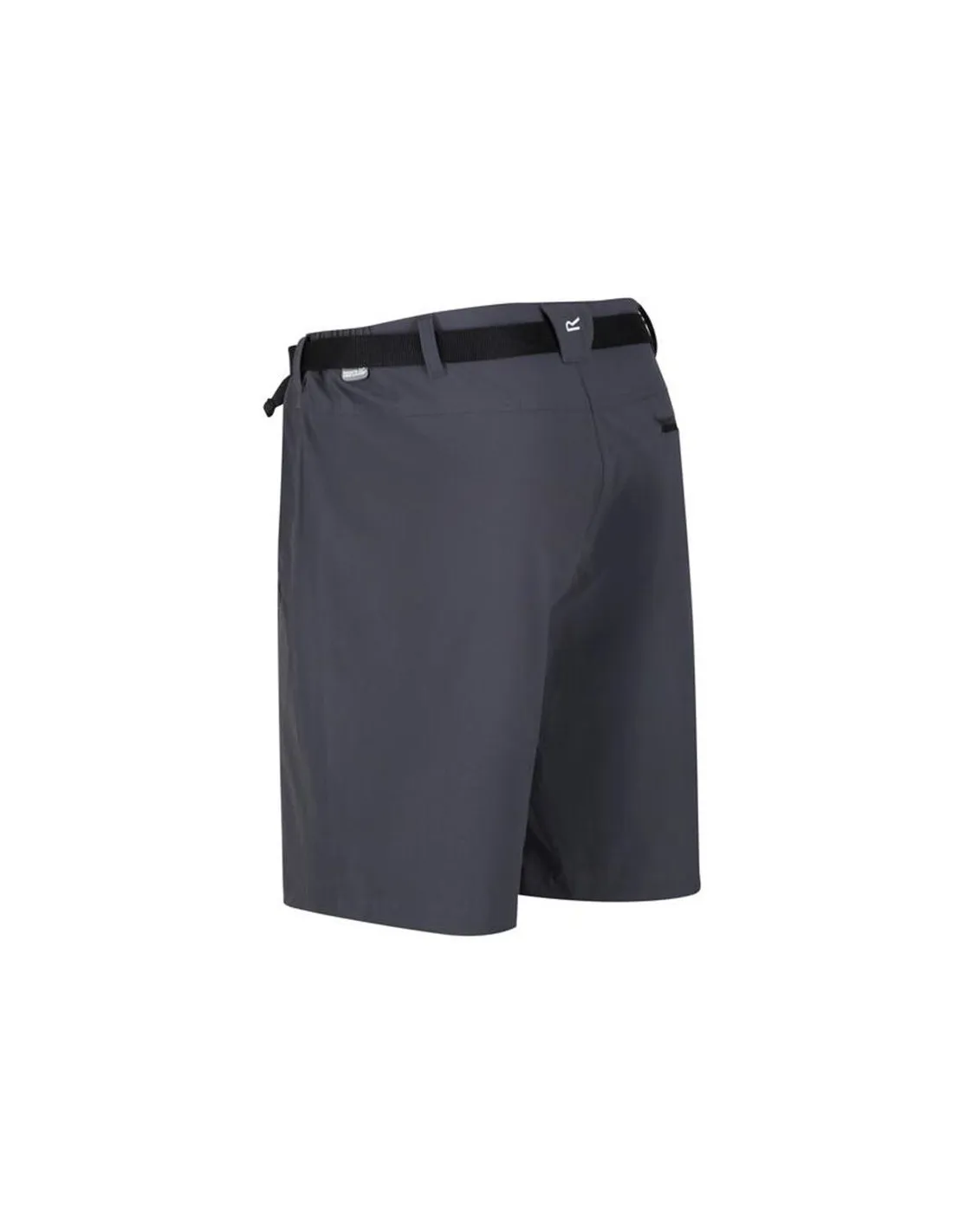 Pantalones de Montaña Regatta Xert StrShort III Hombre