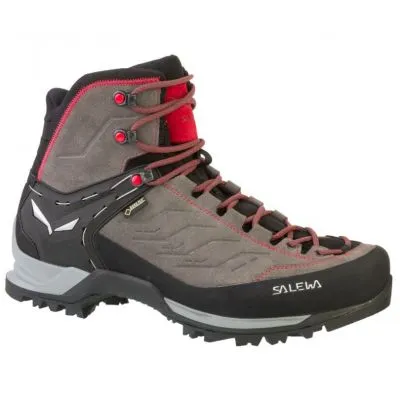 Salewa Mountain Trainer Mid GTX