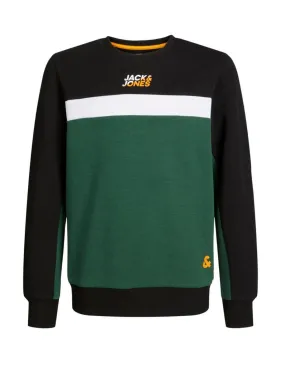 Sudadera Jack&Jones Junior verde sin capucha para niño