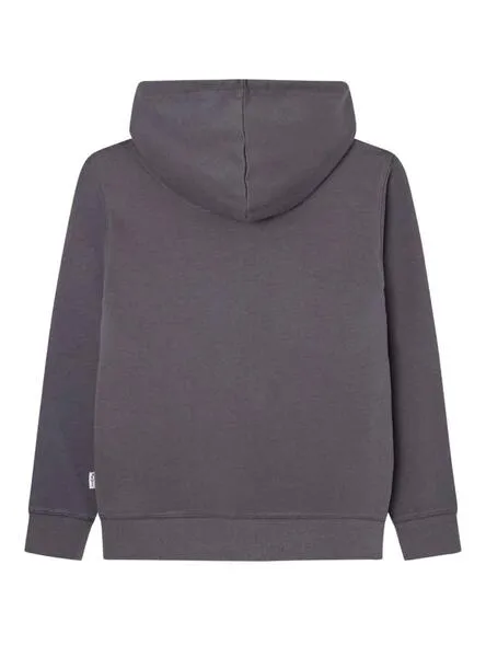 Sudadera Pepe Jeans Niall Gris Para Niño