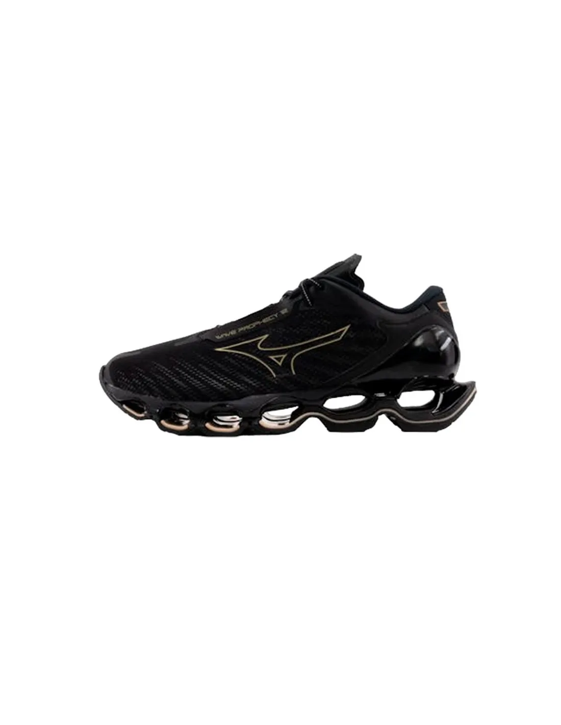 Zapatillas de Running Mizuno Wave Prophecy 12 Negro Unisex